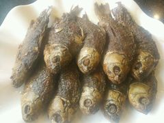 -津菜宋记老房子(平山道店)