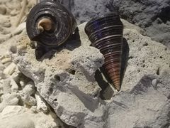 -北海·海洋之窗