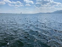 -滇池海埂公园
