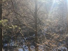 -尧山风景区