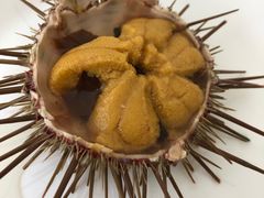 -海胆小馆(东北水饺·春柳店)