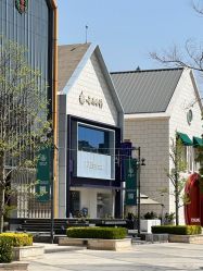 -采之汲·云南白药集团