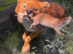 -国家自然博物馆