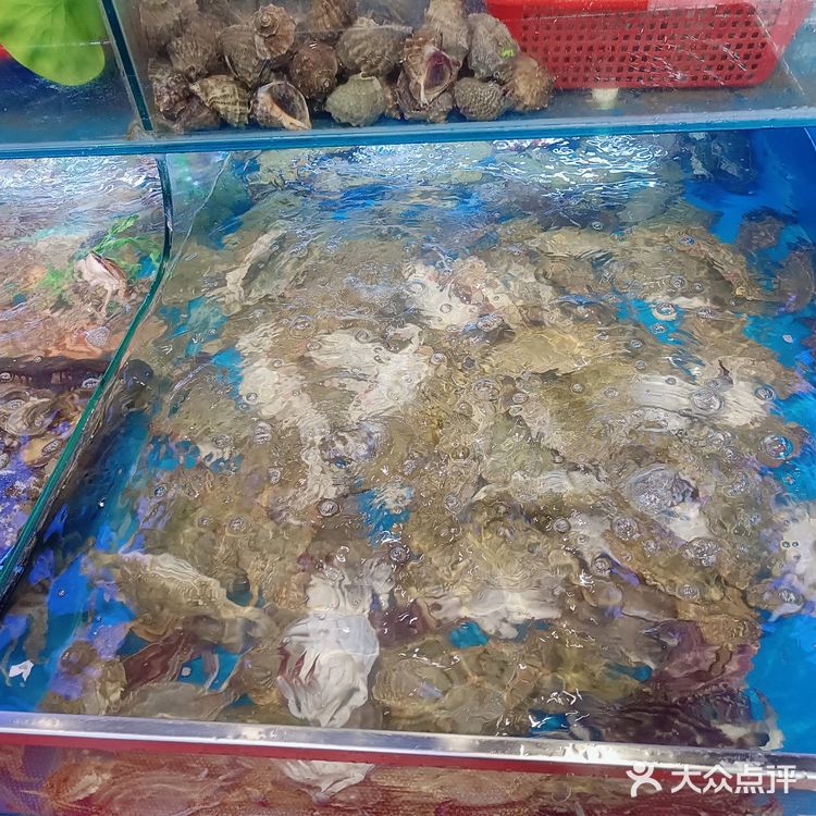 厦门集美顶级海鲜自助餐