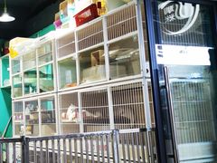 -青石桥花鸟鱼虫市场(叠翠城店)