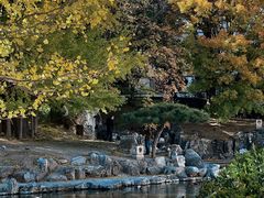 -香山公园