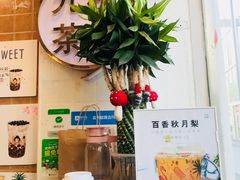 -九秋茶铺(三里屯店)