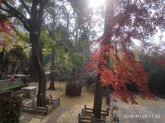 -青岛崂山太清宫