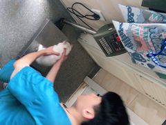 -安安宠医·安宠宠物医院