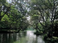 -西溪国家湿地公园