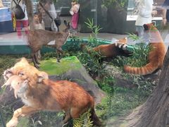 -国家自然博物馆