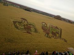 -红海滩国家风景廊道