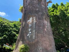 -青青世界