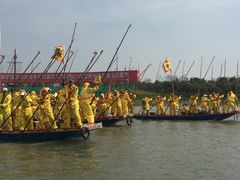 -溱湖国家湿地公园