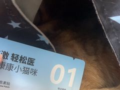 -关爱动物医院·心脏·中兽医·异宠(金牛路分院)