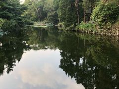 -叶家花园