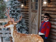 -HERRE·FARM 赫尔露营农场·团建聚会包场