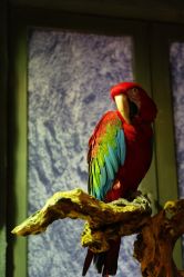 -Zoolung Zoolung动物主题公园(海信广场店)