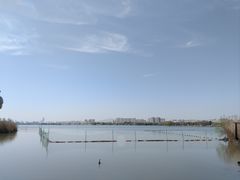 -西山漾湿地公园