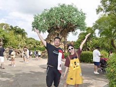 -奥兰多迪士尼动物王国乐园