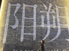 -大师傅金奖啤酒鱼(阳光店)