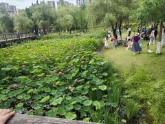 -沐仙湖湿地公园