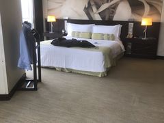 -国家会议中心大酒店