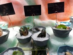 -淡尾·海鲜自助概念餐厅(虹桥南丰城店)