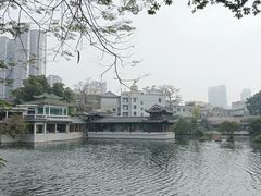 -荔湾湖公园