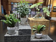 -黔蘑菇四季餐厅(观山湖店)