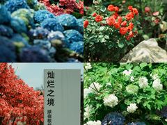 -深圳市中科院仙湖植物园