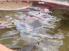 -扬州瘦西湖温泉