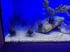 -上海海洋水族馆