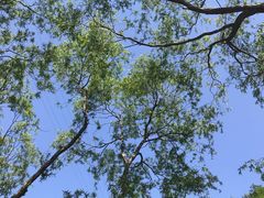 -碓臼峪自然风景区