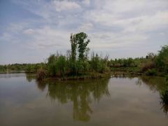 -白鹭湾湿地公园