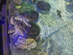 -福州罗源湾海洋世界旅游区