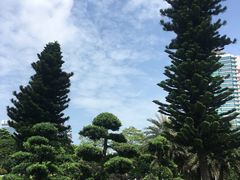 -北部湾广场