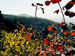 -北京西山国家森林公园