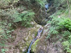 -牛背梁国家森林公园
