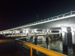 -演武大桥观景平台