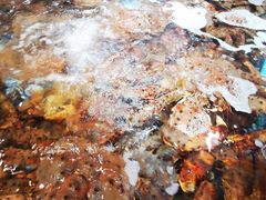 -79号渔船海鲜饭店(宝安店)