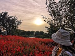 -羊亭河湿地公园