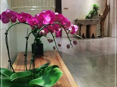 -汤泉良子·沐足·颂钵疗愈·SPA(珠江新城店)