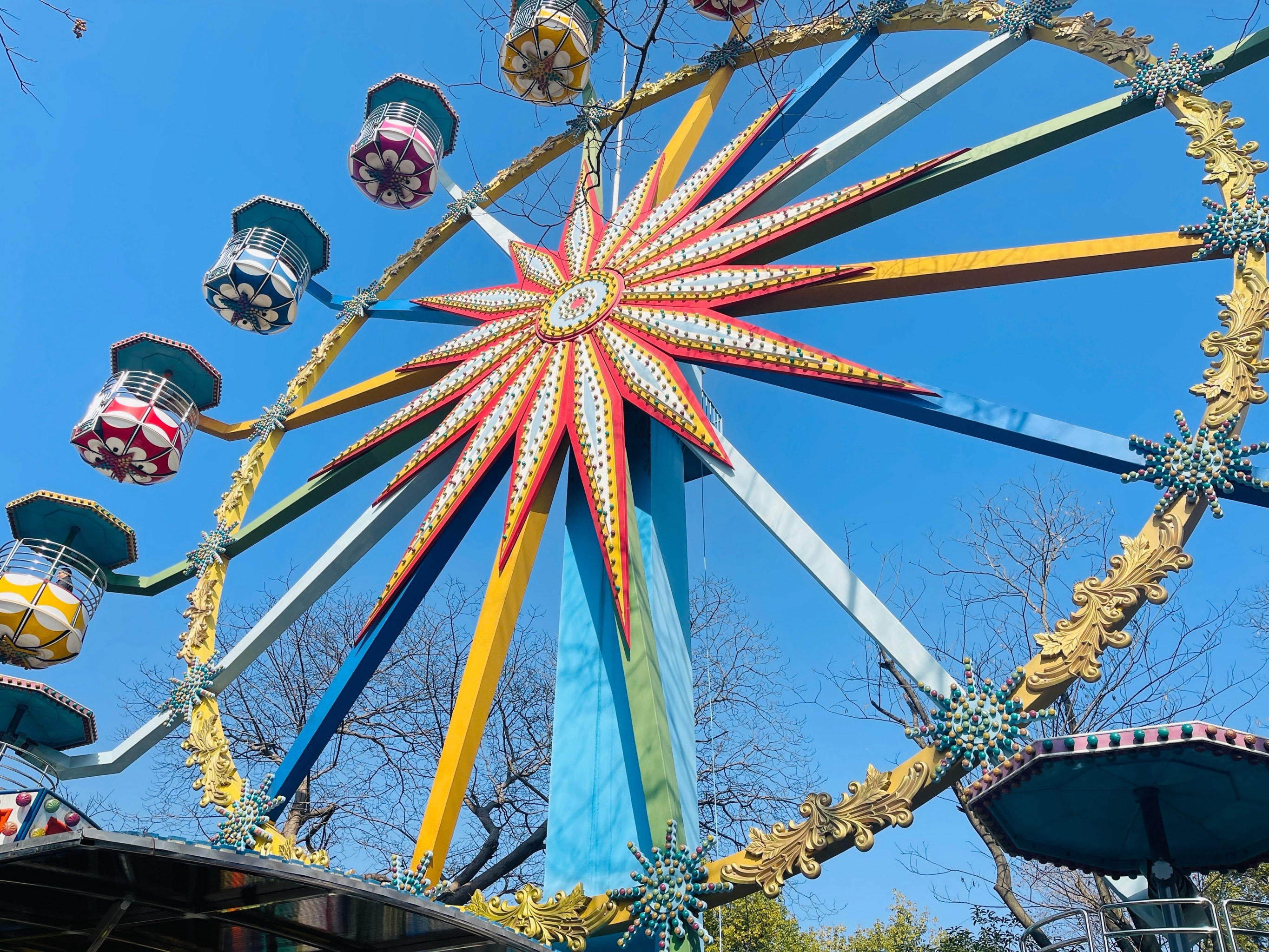 杭州青少年活动中心～西湖边遛娃