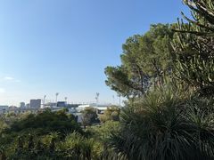 -墨尔本皇家植物园