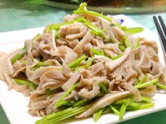 肚丝-烤肉宛饭庄(南礼士路店)