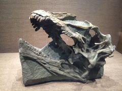 恐龙博物馆-自贡恐龙博物馆