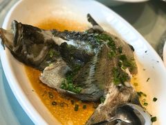 龙鼠斑-金满楼(天河中路店)