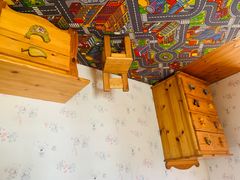 -金山农民画村-枫泾波兰倒置屋