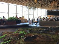 -Seesaw Coffee(朝阳大悦城店)